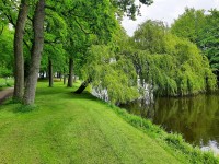 /album/winter-in-wervershoof-2020-21/elburg-02-jpg/